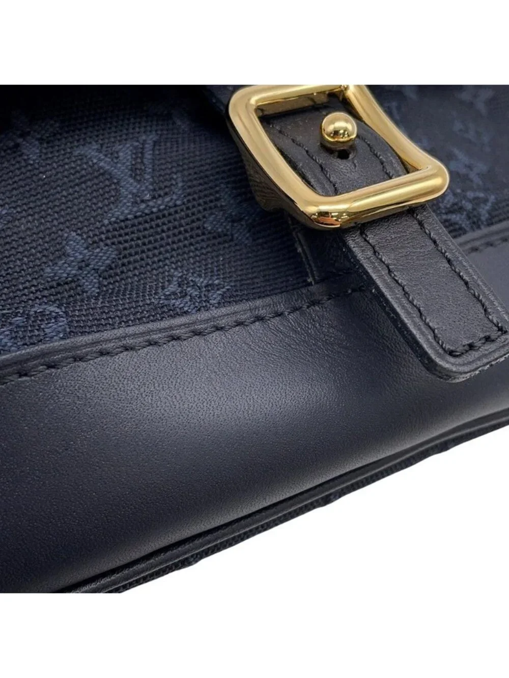 Louis Vuitton Pouch Monogram Mini Anthophy M Case